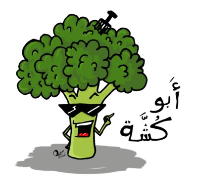 Abu Kushe